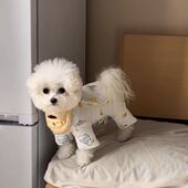 宠物泰迪犬小型犬狗狗猫咪秋冬四脚衣服比熊狗狗装 夹棉包肚四脚衣