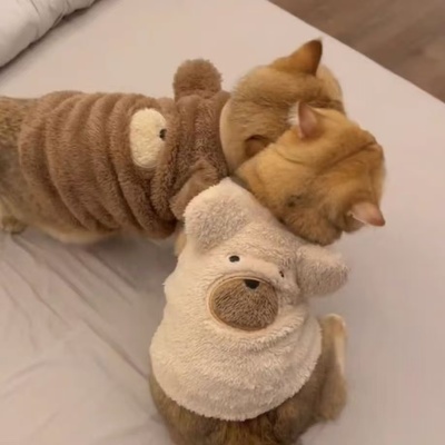 宠物狗狗衣服冬装加绒保暖马甲小型犬泰迪雪纳瑞猫咪衣服2025新款