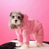 秋冬狗狗四脚衣棉服宠物雪纳瑞比熊博美中小型犬狗衣服冬季 保暖