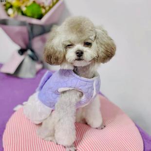 超萌宠物棉衣情侣款 公主风泰迪比熊博美洋气猫咪狗狗衣服秋冬装