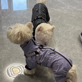 新款 洋气小狗帅气可牵引狗狗超萌宠物专用户外防风外出衣服冲锋衣