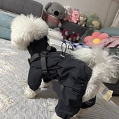 新款 洋气小狗帅气可牵引狗狗超萌宠物专用户外防风外出衣服冲锋衣