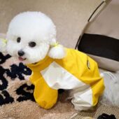 狗狗衣服春秋款 小型犬泰迪外出防脏中型犬高级感秋季 四脚冲锋衣