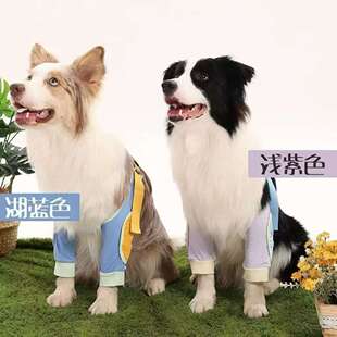 宠物狗狗专用护肘衣金毛边牧中大型犬防舔防磨前腿关节保护套护膝