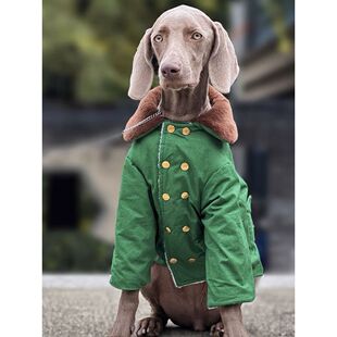 宠物狗狗大型犬冬季棉袄加厚保暖绿色棉大衣萨摩拉布拉多金毛棉衣