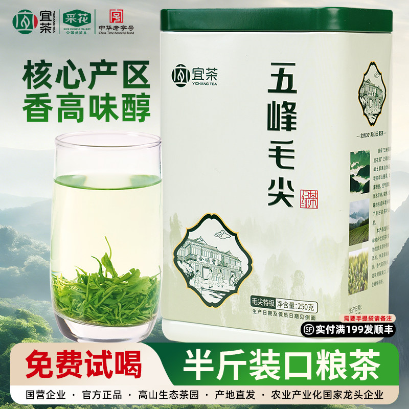 雨前新茶宜昌五峰毛尖口粮绿茶叶图片