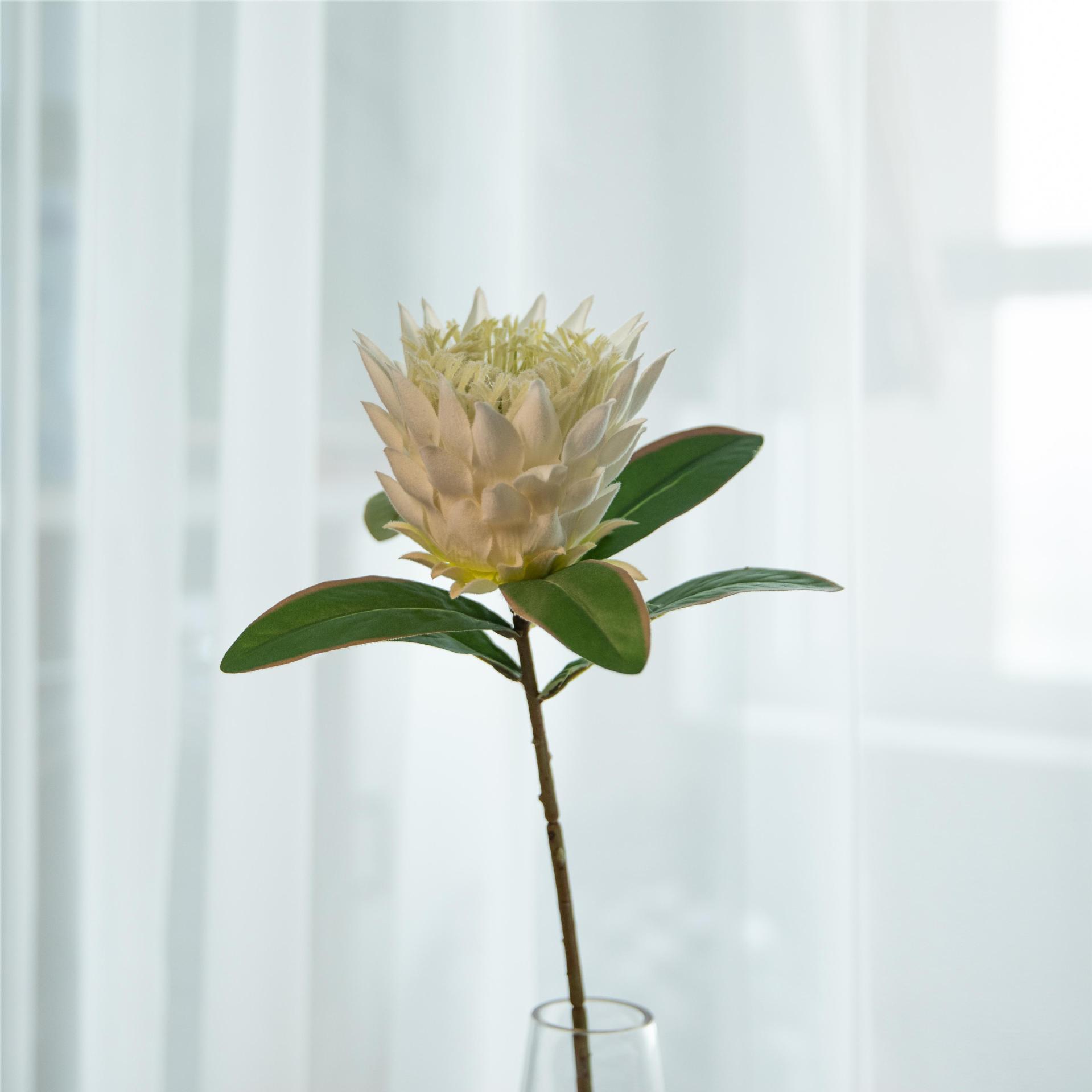 仿真花凤毛蓟帝王花中高