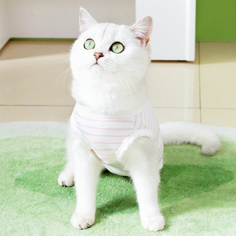 猫咪产后衣服春夏季手术
