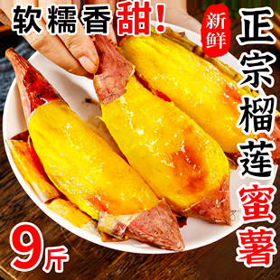 正宗真榴莲蜜薯新鲜玛莎莉黄金番薯现挖黄心红薯地瓜蔬菜整箱9斤