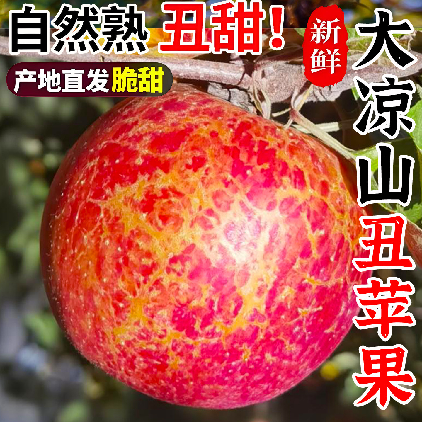 大凉山盐源丑苹果9斤新鲜水果当