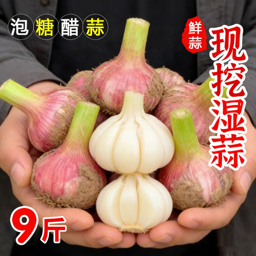 云南新鲜紫皮大蒜现挖9斤