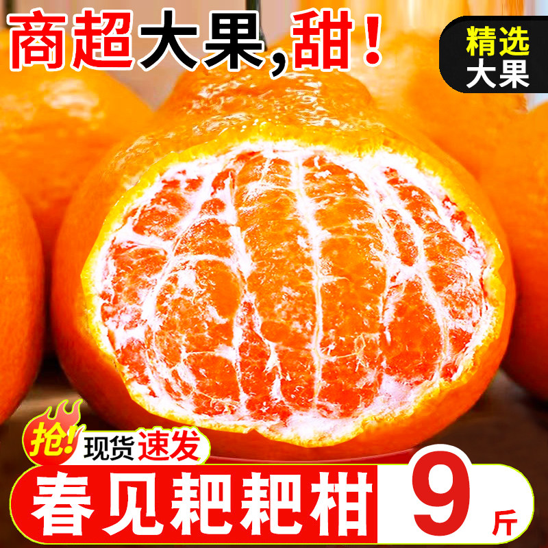 正宗四川春见耙耙柑9斤橘子新鲜水果丑八怪柑橘耙耙桔子水果包邮,水产肉类/新鲜蔬果/熟食,桔子,淘宝优惠券,粉丝福利购,淘宝优惠卷