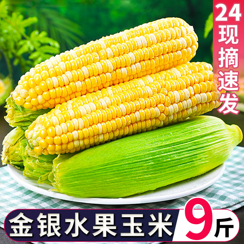 新鲜水果玉米现摘当季整箱甜玉米