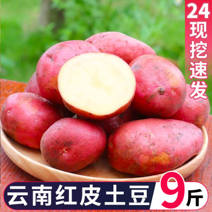 云南红皮黄心土豆新鲜小土豆农家蔬菜洋芋自种批发马铃薯整箱包邮