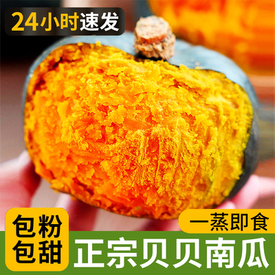 贝贝南瓜新鲜板栗味老南瓜正宗