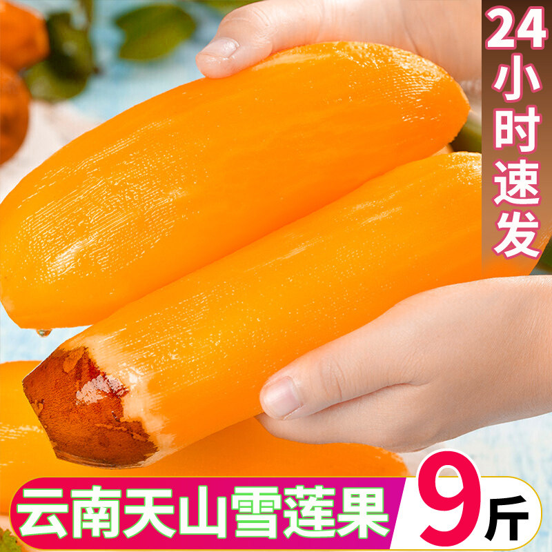 云南天山雪莲果新鲜红心特级一级水果当季10斤整箱孕妇黄雪连包邮,水产肉类/新鲜蔬果/熟食,雪莲果,淘宝优惠券,粉丝福利购,淘宝优惠卷