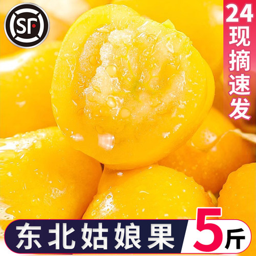 东北姑娘果新鲜现摘当季大果