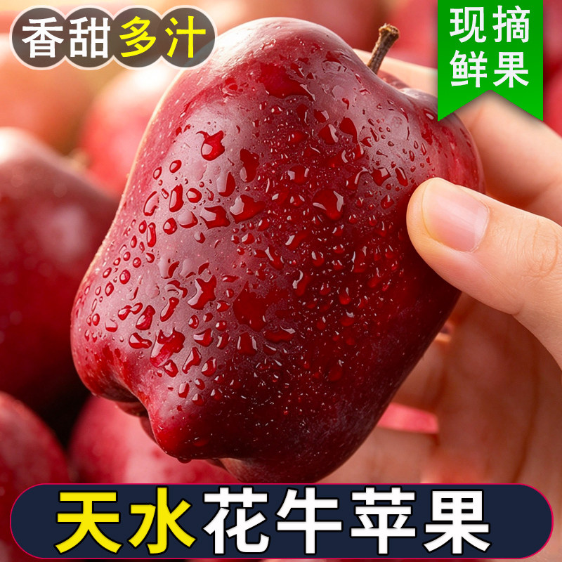 甘肃花牛苹果1500g特价，限一单