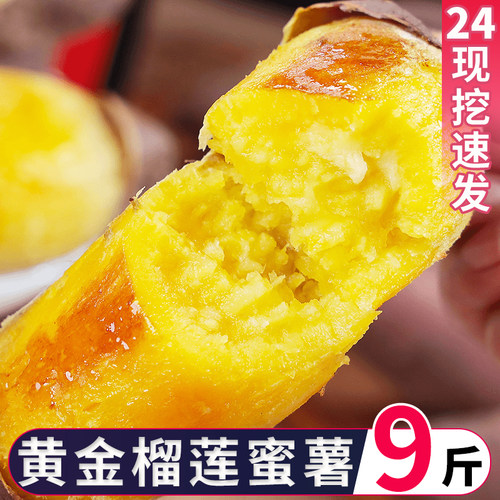 正宗真榴莲蜜薯黄心玛莎莉黄金
