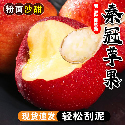 陕西秦冠苹果陕西粉面沙甜包邮
