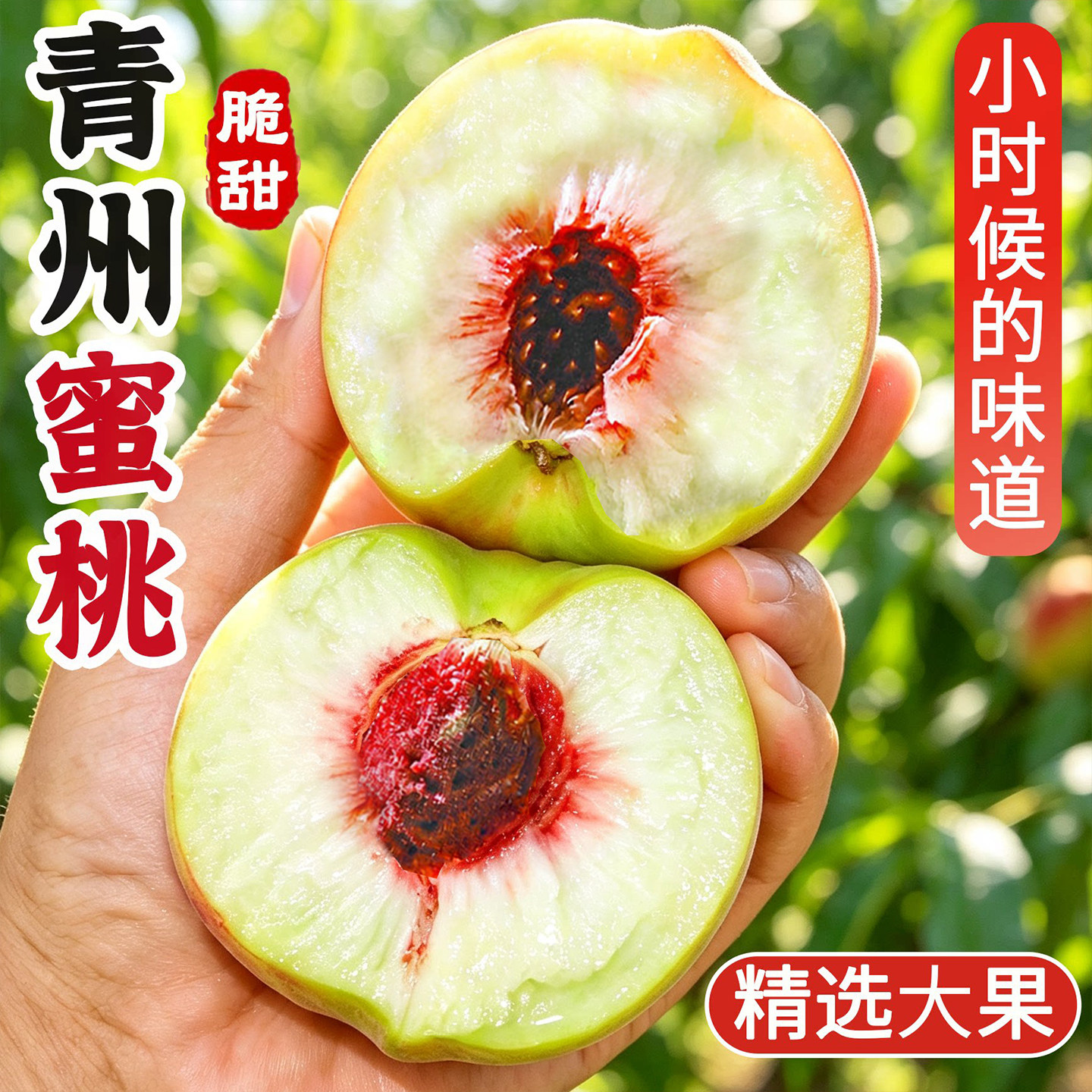 正宗青州蜜桃当季桃子现摘现发