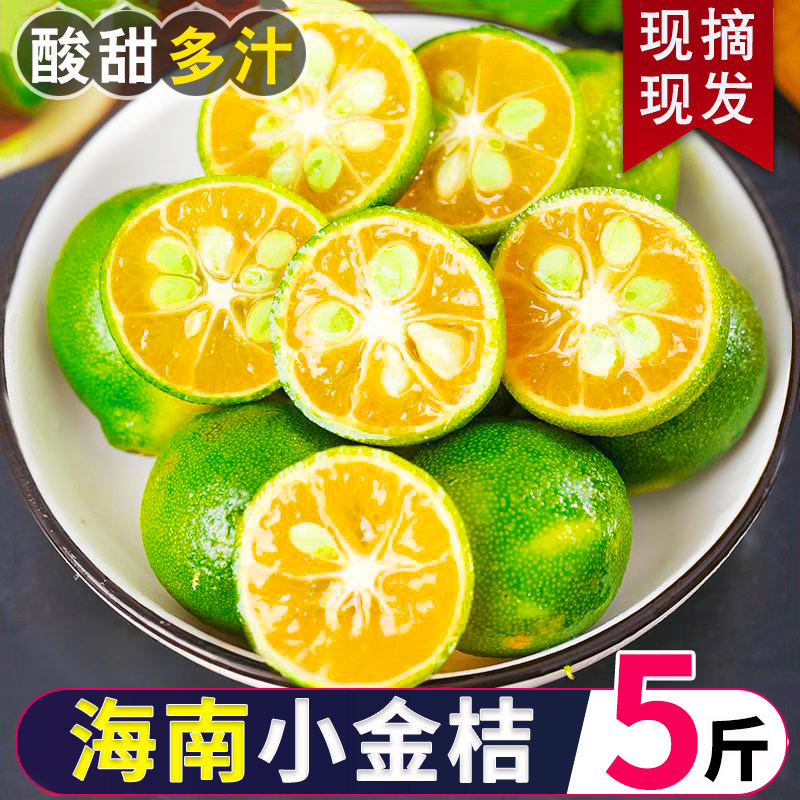 海南小金桔新鲜水果当应季青金桔