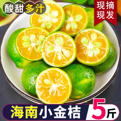 海南鲜桔皮薄汁多5斤装