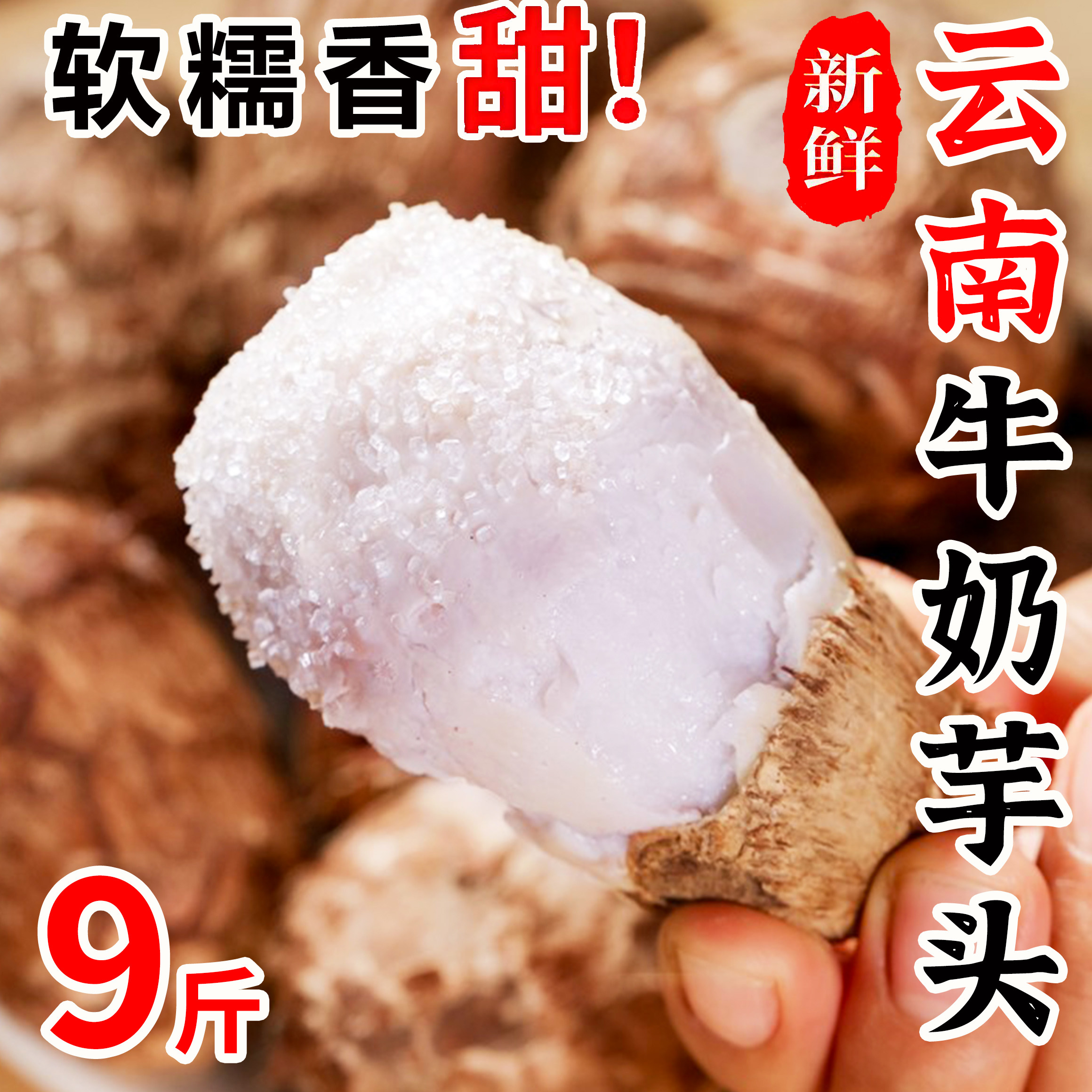 云南牛奶小芋头新鲜蔬菜毛芋头奶