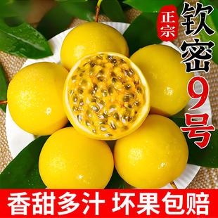 广西钦蜜9号黄金百香果新鲜水果10当季整箱百香果包邮大果原浆5斤