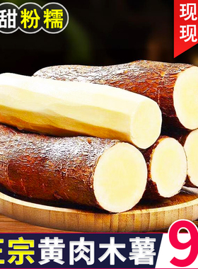 广西黄心木薯新鲜现挖特产黄肉面包木薯羹糖水店蜜薯板栗粉糯农家