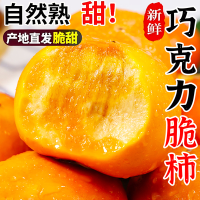 阳丰脆柿子巧克力现摘孕妇水果