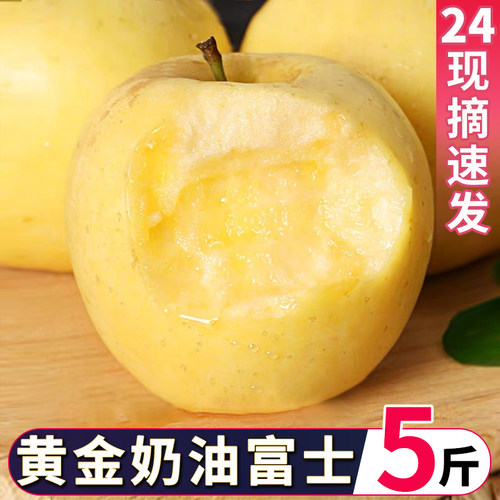 黄金烟台奶油富士苹果