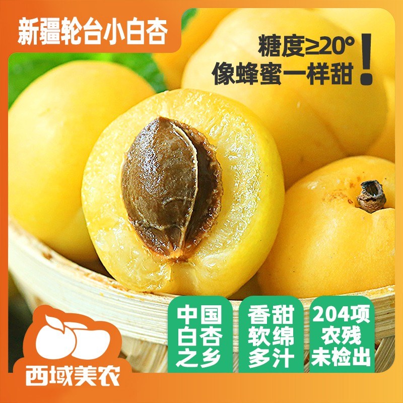 西域美农新疆小红杏3斤熊猫指南二星榜单阿克苏吊干杏陕西发货