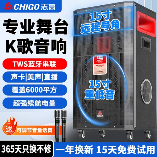 志高专业广场舞台音响户外K歌蓝