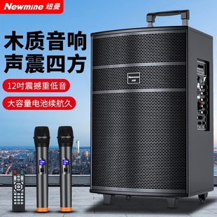 纽曼L58三分频广场舞音响户外音歌12寸演出室外家用大音量箱K
