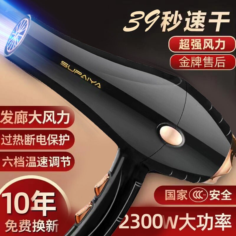德国电吹风机家用发廊大功率理发