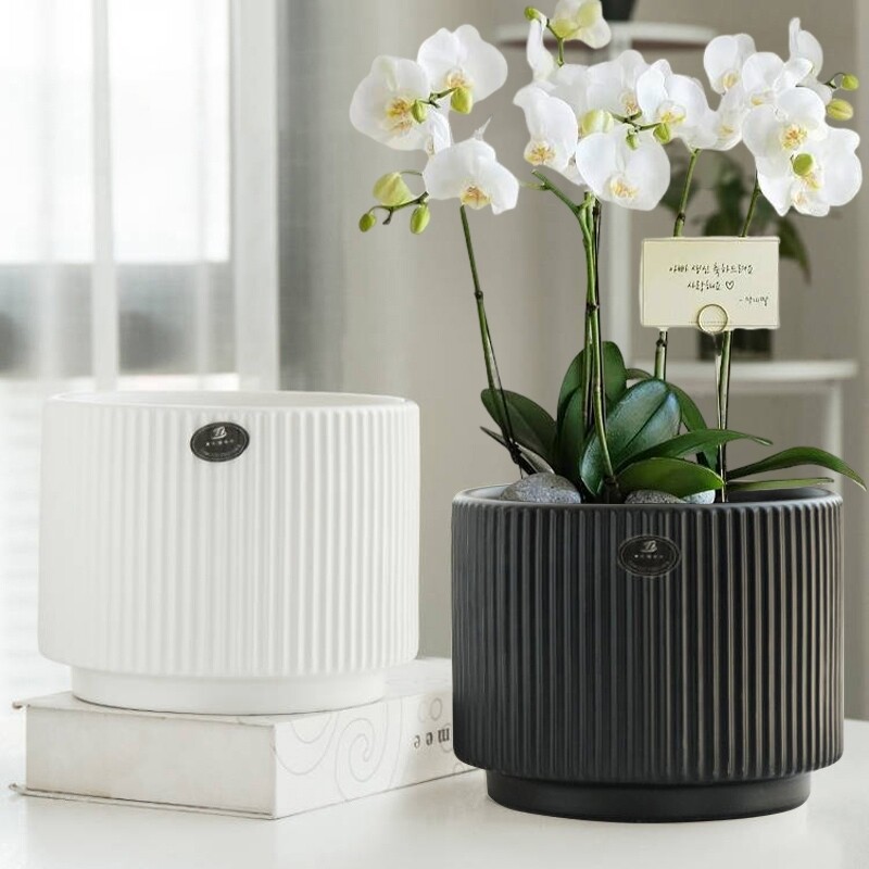 花盆陶瓷新款亚光专用简约花盆特大号发财树桌面绿植多肉室内盆栽