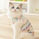猫咪防止掉毛衣服薄款 比熊博美泰迪透气背心宠物防掉毛凉凉衣幼猫