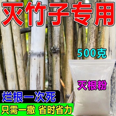 除竹子烂根专用药粉强力去竹粉清竹根专用大竹杂竹荒草灌木根烂死