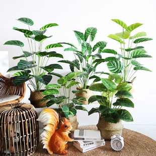 北欧风客厅仿真绿植龟背竹小盆栽假绿植摆件装饰假花仿真花摆设