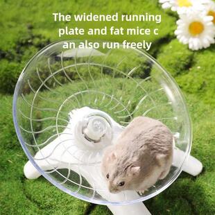 Hamster Running Wheel Silent Flying Disc Running Wheel Golde