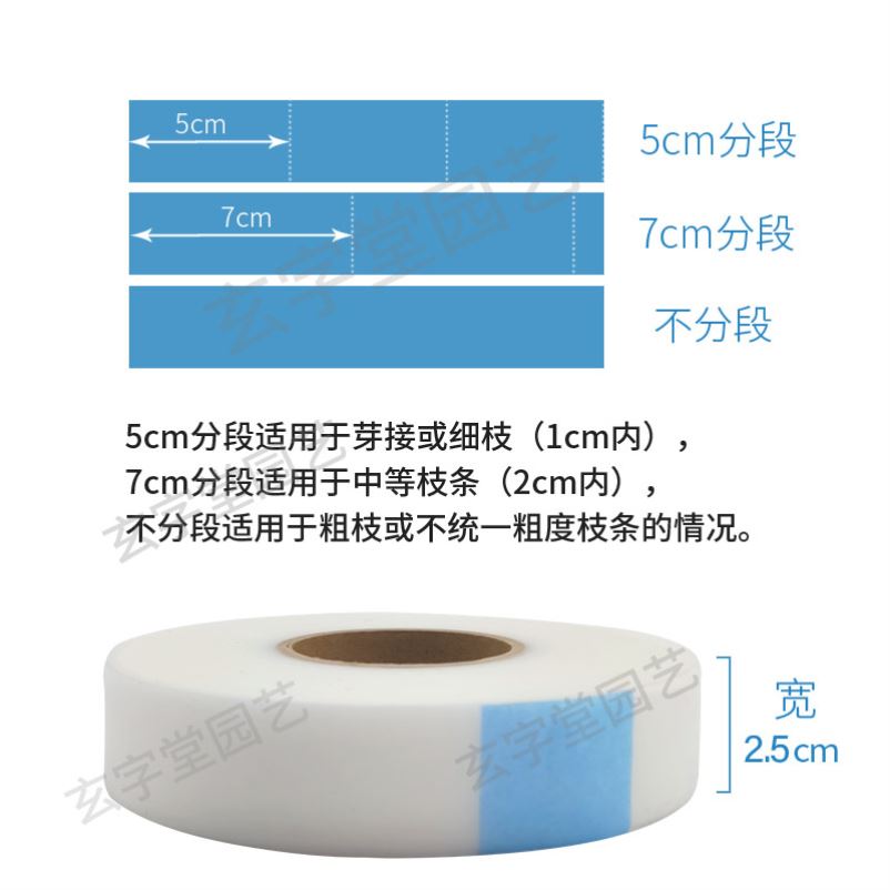 糯米纸嫁接膜糯米纸嫁接带糯米纸 嫁接糯米纸 嫁接专用膜糯米纸