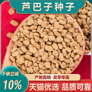葫芦巴种子葫芦巴籽香草种籽净货可打粉四季 散装 芽苗菜可食用