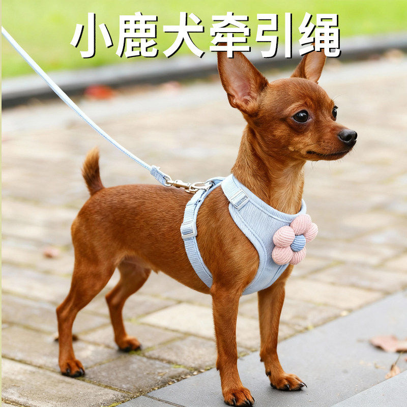 小鹿犬牵引绳小型犬胸背带背心式外出防咬防爆冲幼犬专用宠物用品