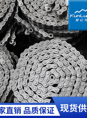 LH1244/BL644浙江链条节距19.05曳引链条/悬挂式提升链条国标板链