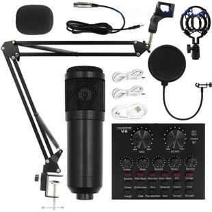 Bm800 condenser microphone + V8 sound card computer recordin