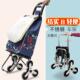 shopping cart foldable Stairs trolley convenient