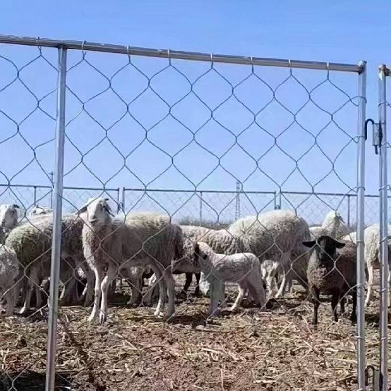 草原可移动羊栏可拆卸羊圈拦镀锌铁丝网圈牛圈羊养殖围栏网隔离网