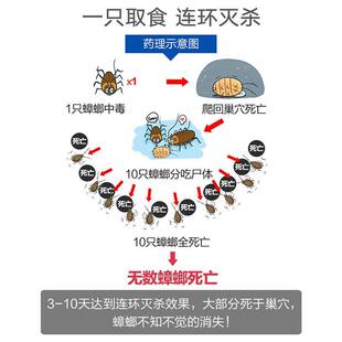 杀蟑胶饵一窝端家用灭小蠊克星室内蟑螂药除蟑厨房卧室杀虫剂