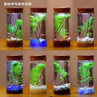 苔藓微景观造景植物生态瓶diy材料养鱼鱼缸玻璃瓶工具手工材料包